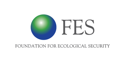 FES
