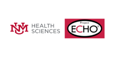 Project-Echo